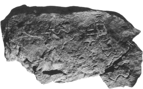 Part of a stone slab from Egypt, which Dr. Douglas Petrovich proposes contains the name Moses.