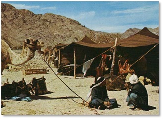 Inside view of a black goat hair tent with starlike pinholes of light, symbolizing how Ancient Hebrews viewed the night sky as God's protective tent.