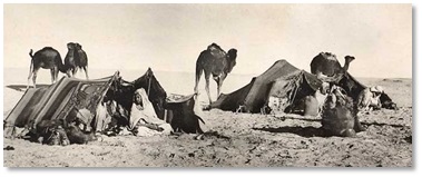 A Bedouin Camp