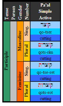 Hebrew Verb Conjugation Chart Pdf