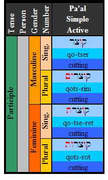 Hebrew Imperative Chart