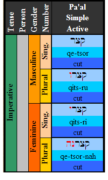 Hebrew Verb Conjugation Chart